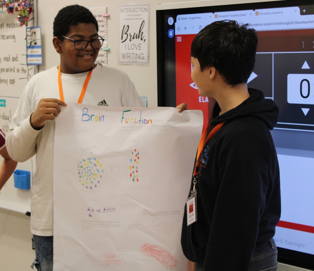 Mrs. Daly's Brain Science Unit project