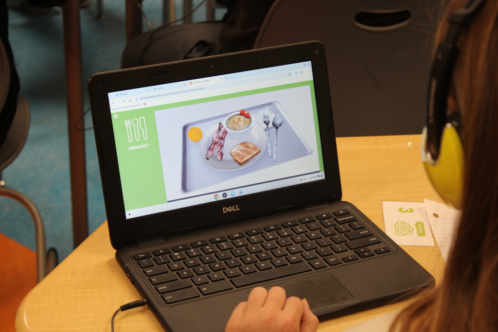 Mrs. Daly's Brain Science Unit project