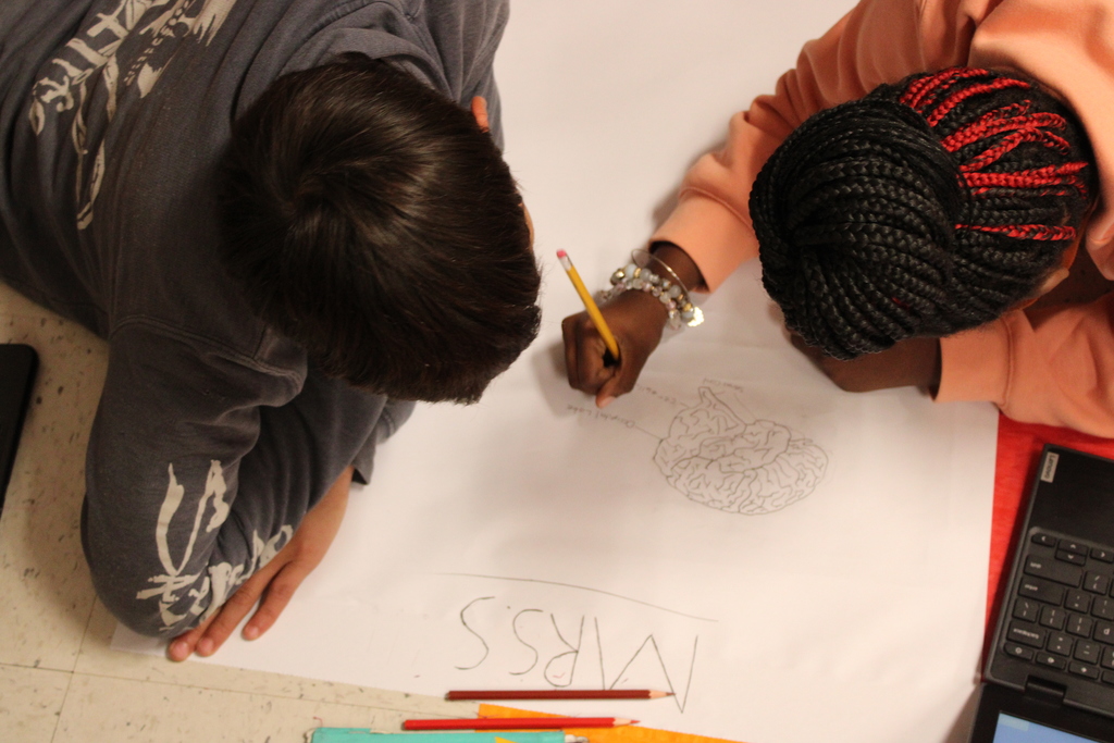 Mrs. Daly's Brain Science Unit project