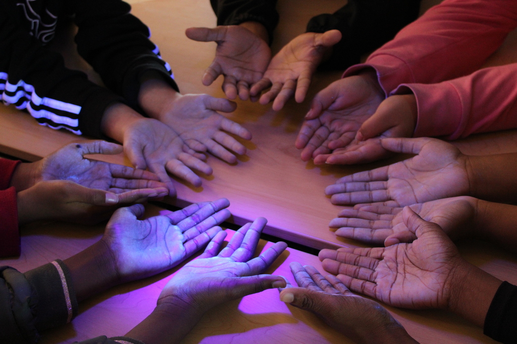 Health Sciences germ demonstration