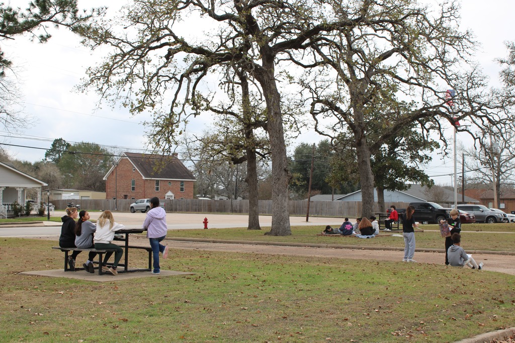 Cochran class drawing trees