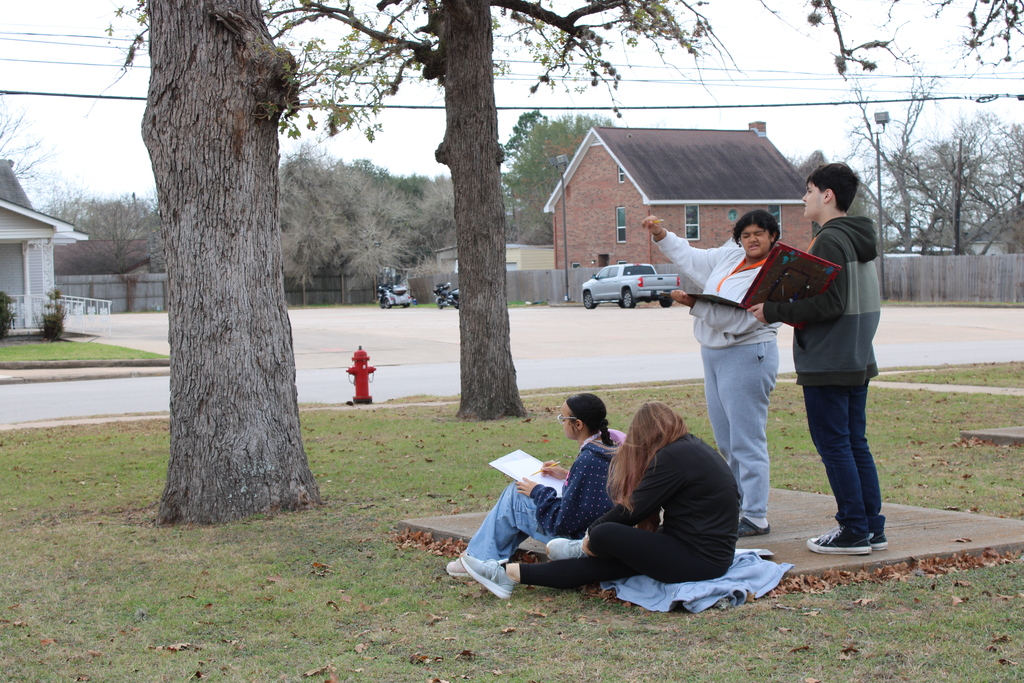 Cochran class drawing trees