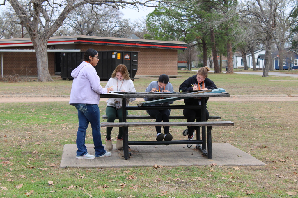 Cochran class drawing trees