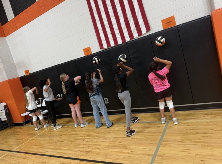 vb