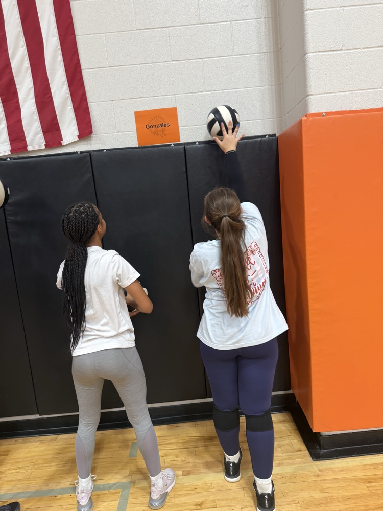vb