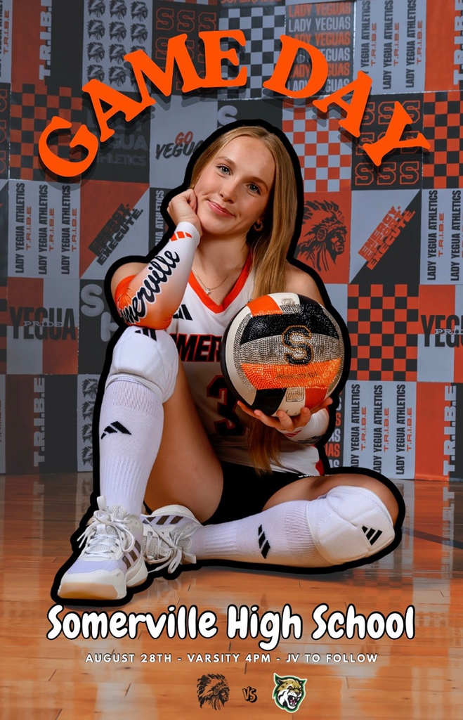 vb
