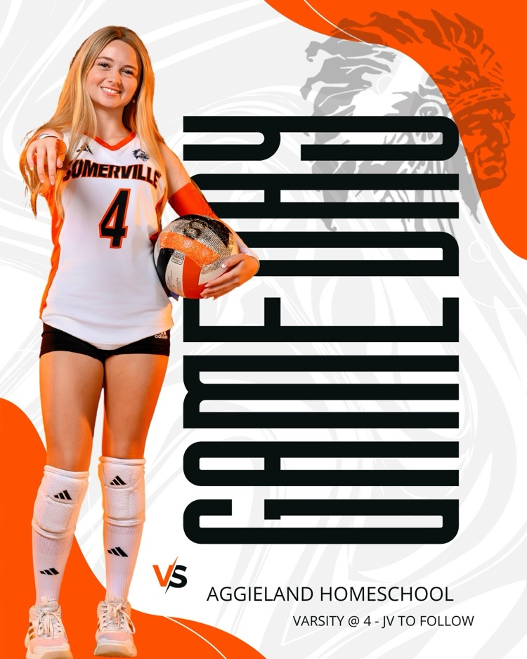 vb