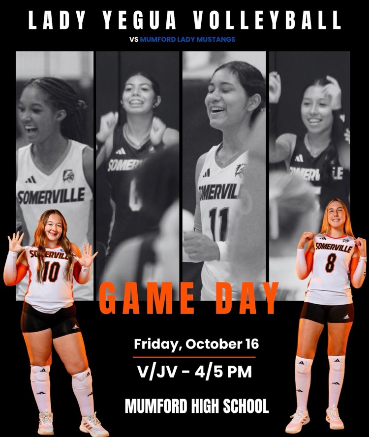 vb
