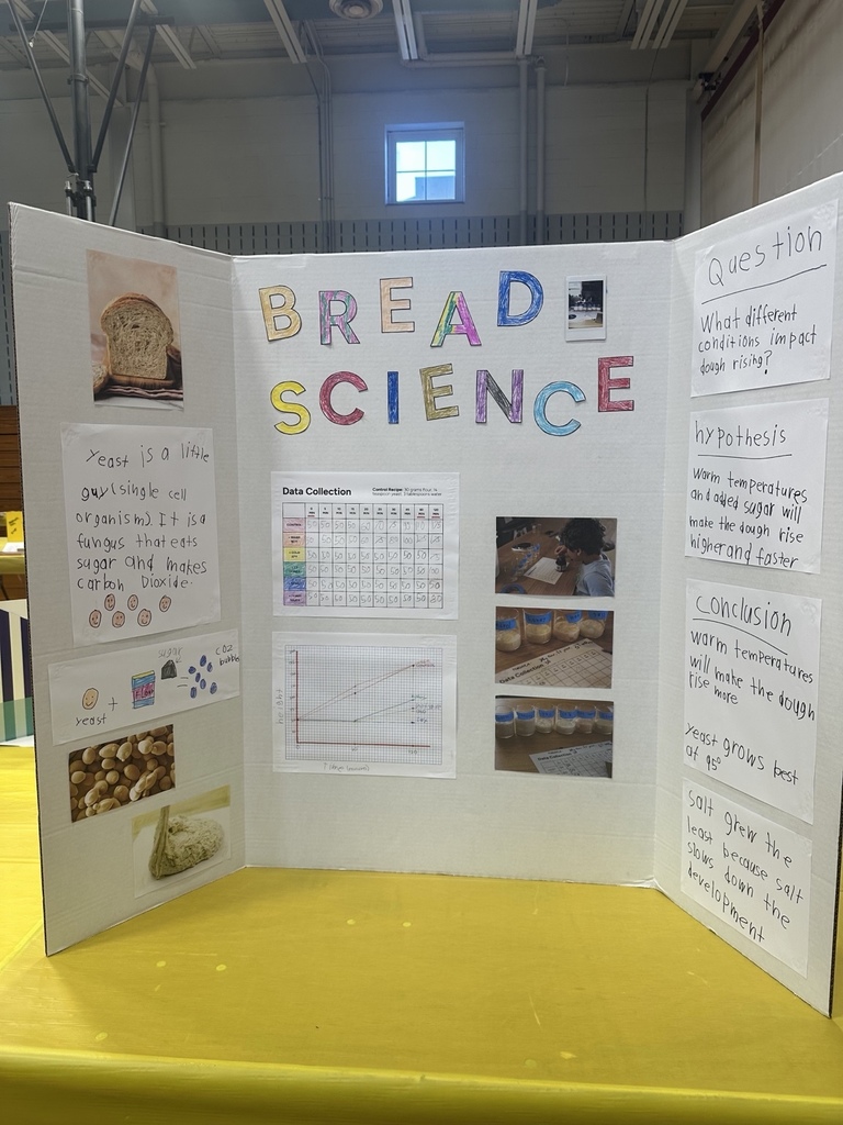 The Helen Doherty Science Fair at VDV is TODAY! Our amazing students have been hard at work designing experiments, building models, and exploring the world of science from solar systems to water purification  to hands-on engineering projects and more!