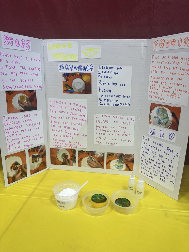 The Helen Doherty Science Fair at VDV is TODAY! Our amazing students have been hard at work designing experiments, building models, and exploring the world of science from solar systems to water purification  to hands-on engineering projects and more!