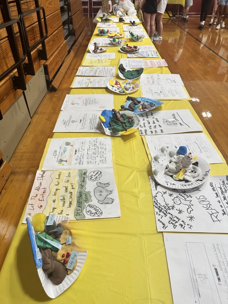 The Helen Doherty Science Fair at VDV is TODAY! Our amazing students have been hard at work designing experiments, building models, and exploring the world of science from solar systems to water purification  to hands-on engineering projects and more!