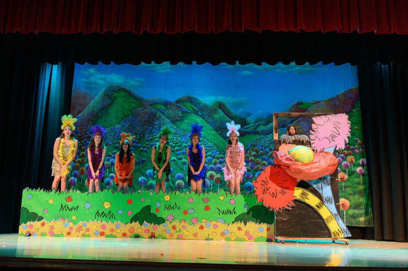 Photos from March at Somerville Public Schools highlight students performing in Anything Goes, singing in Showcase of the Arts 2026, welcoming guest readers during Read Across America Week at VDV, and participating in the VDV Variety Show.