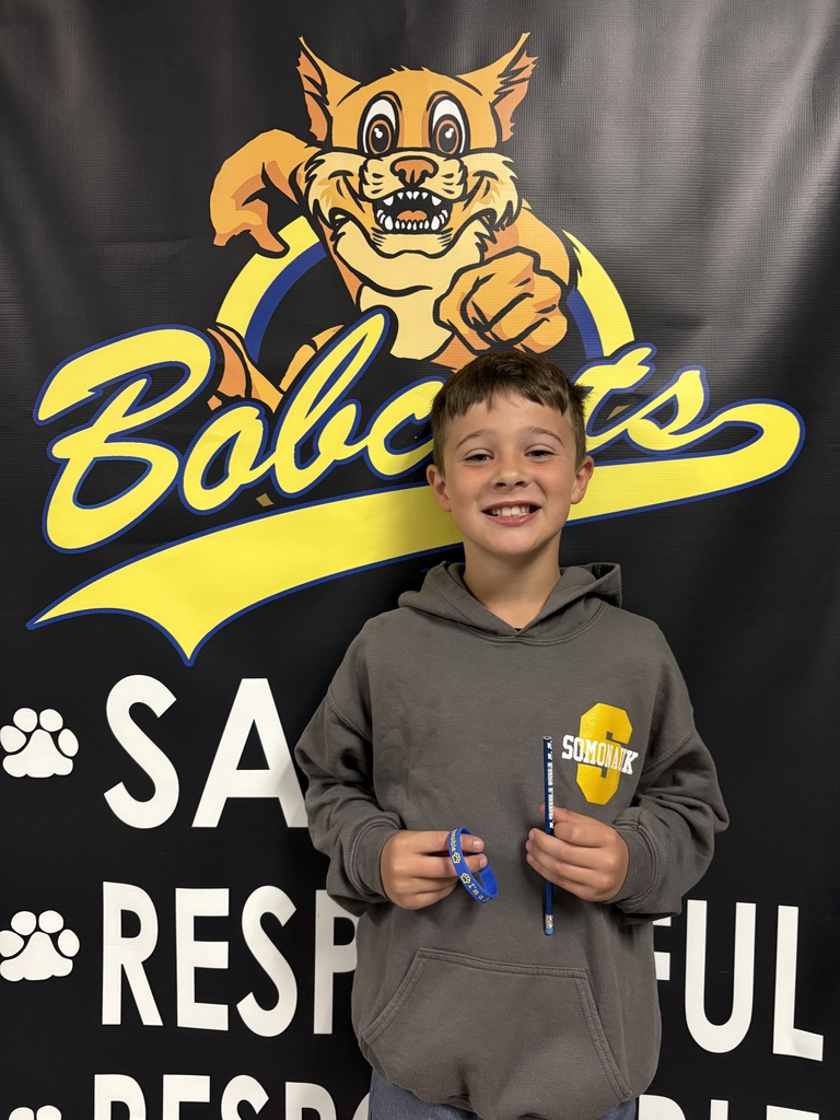 Jr Bobcat