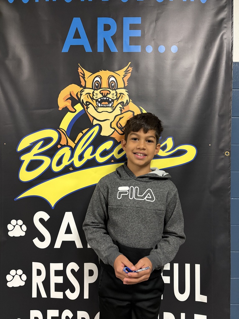 Jr Bobcat