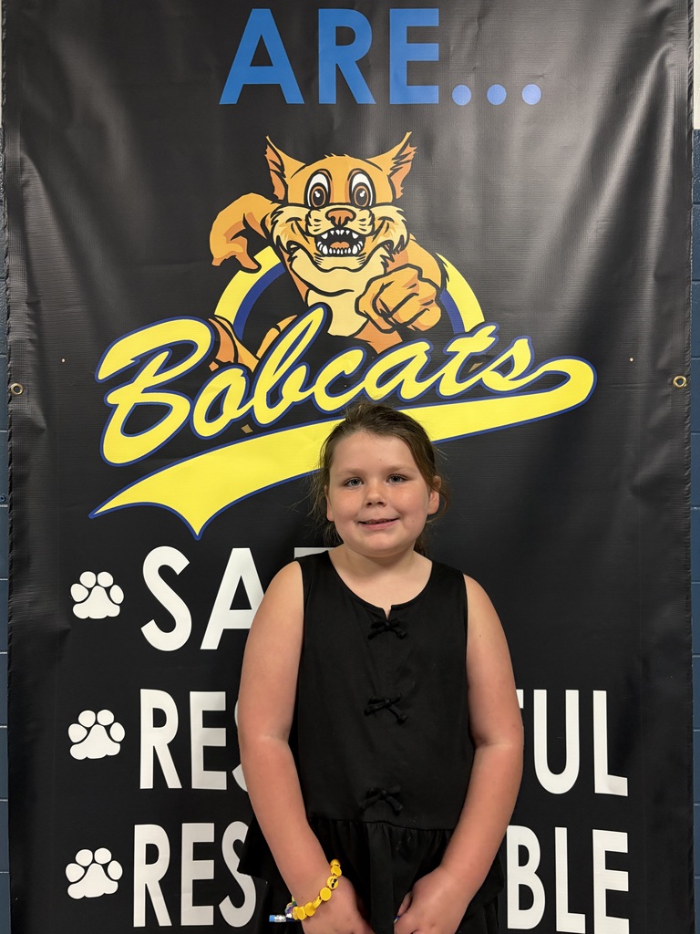 Jr Bobcat