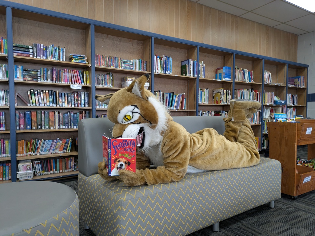 Book Fair