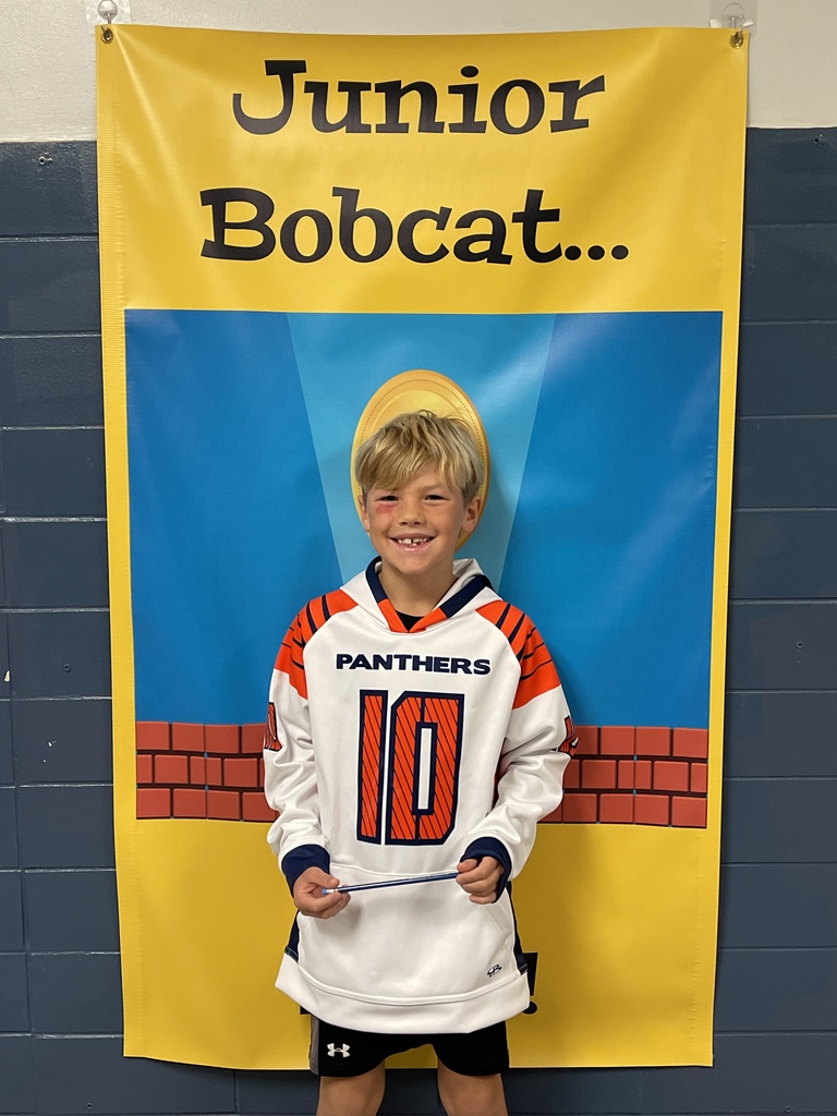 Jr Bobcat