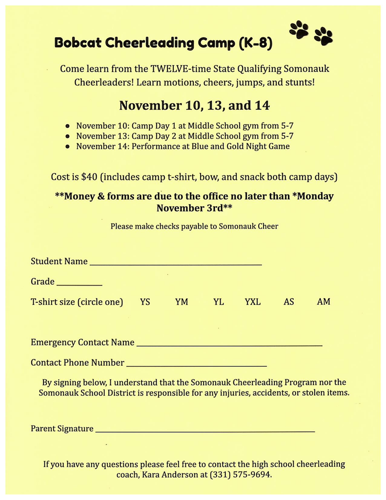 Cheer Camp