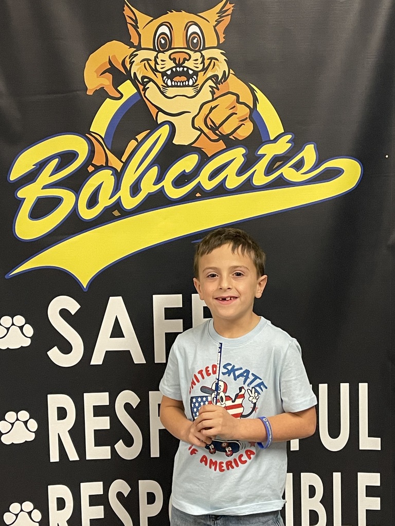 Jr Bobcat