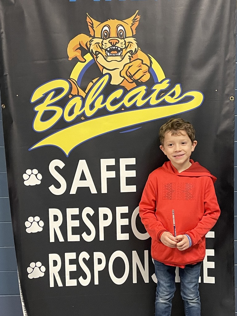 Jr Bobcat