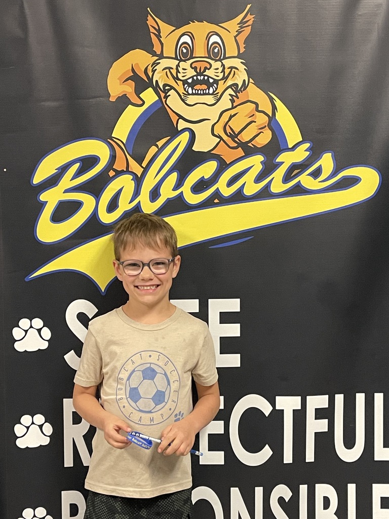 Jr Bobcat