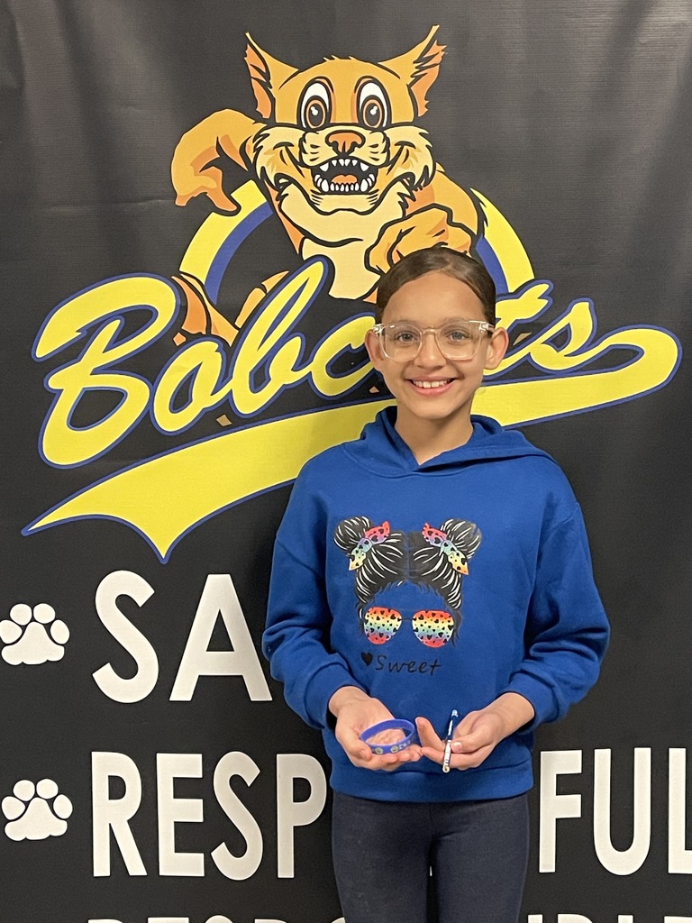 Jr Bobcat