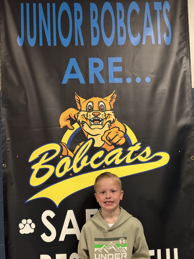 Jr Bobcat