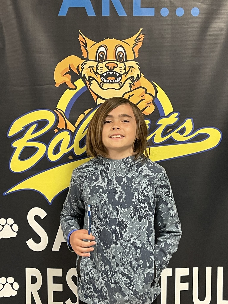 Jr Bobcat