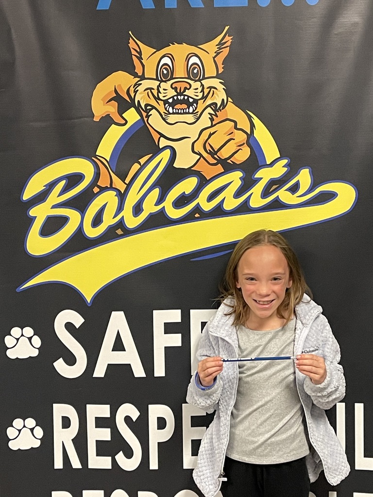 Jr Bobcat