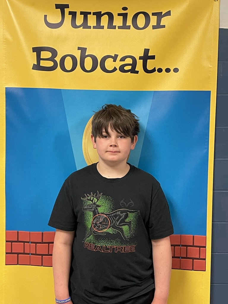 Jr Bobcat