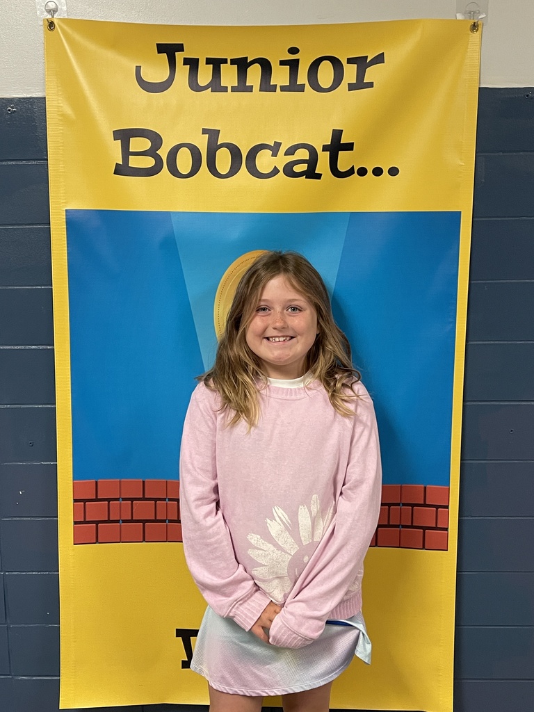 Jr Bobcat