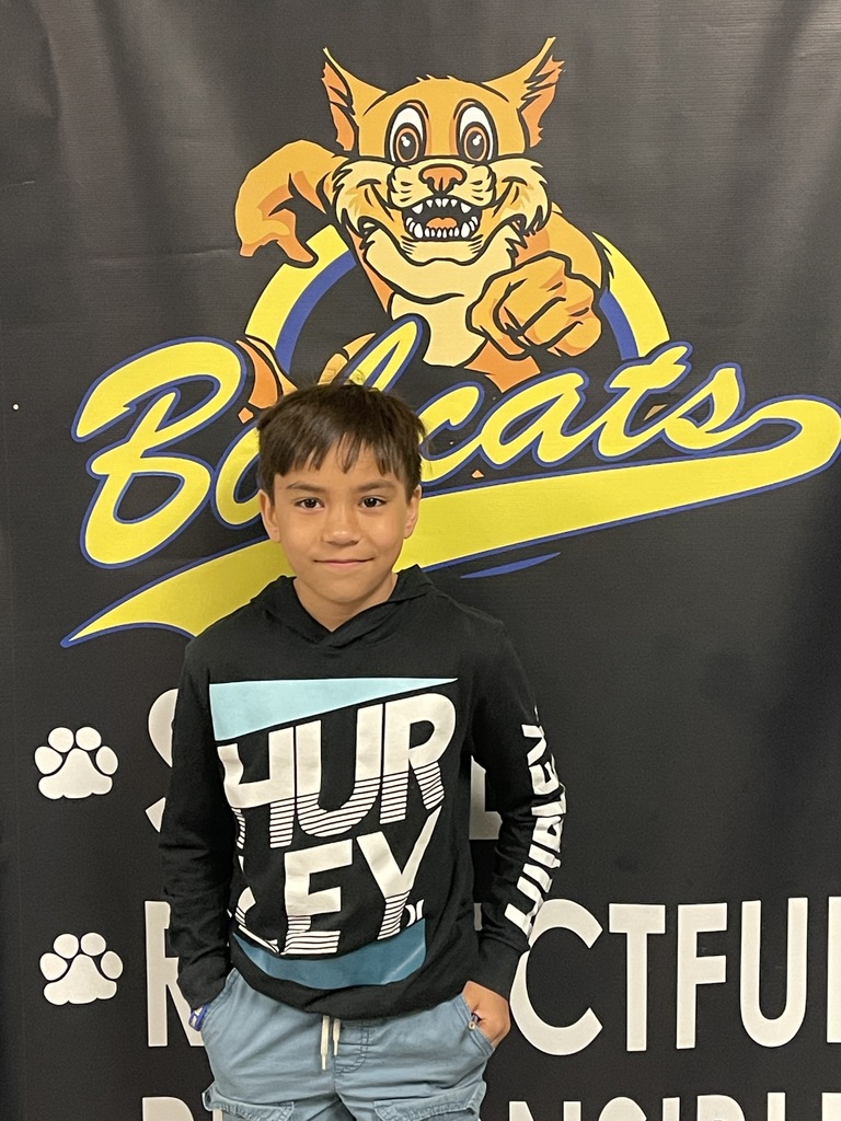 Jr Bobcat