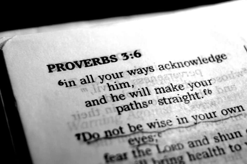 Proverbs3:6
