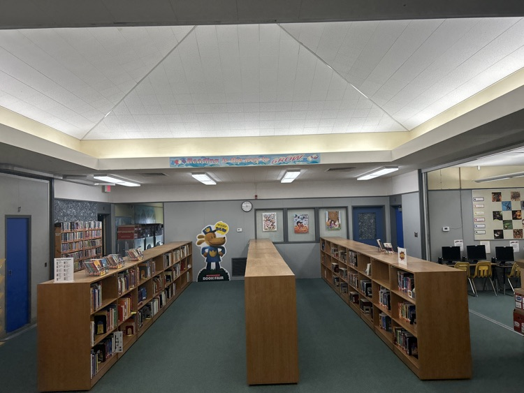 2025 New Library Shelves