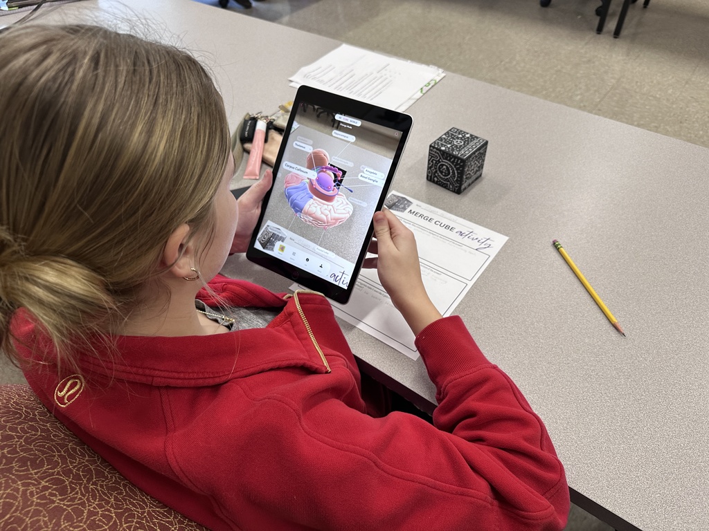 Criminal Justice Students using Merge Cubes