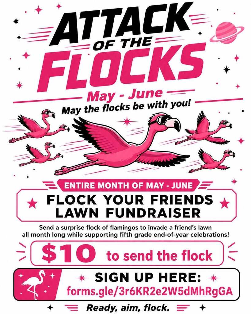 Attack of the Flocks