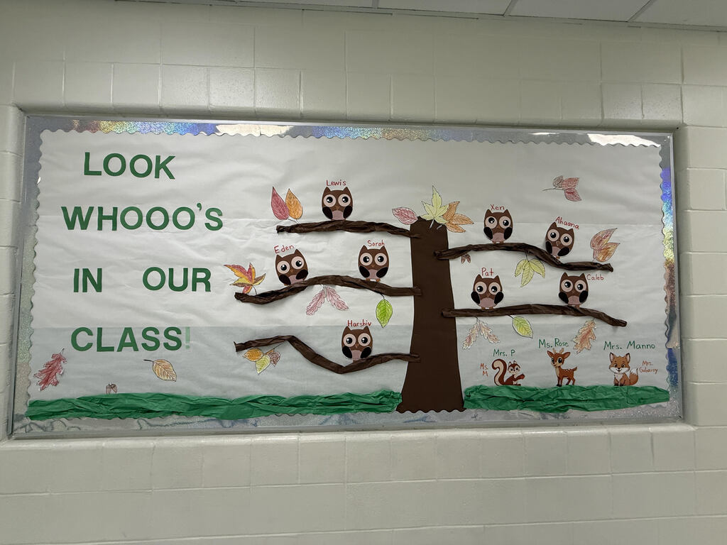 A bulletin board displays a tree with owls and text "LOOK WHOO'S IN OUR CLASS" on a white background.