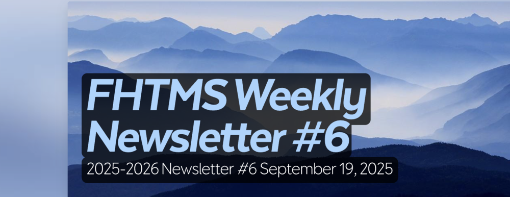 Newsletter #6