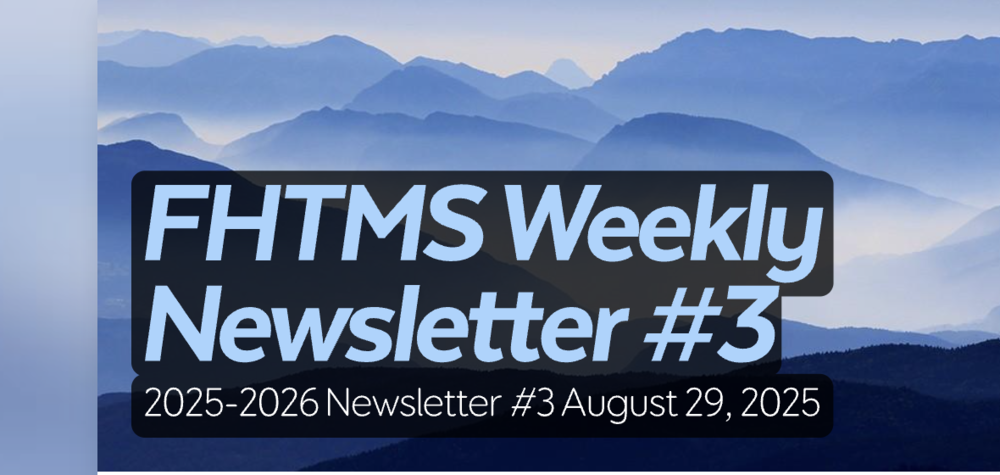 Newsletter #3