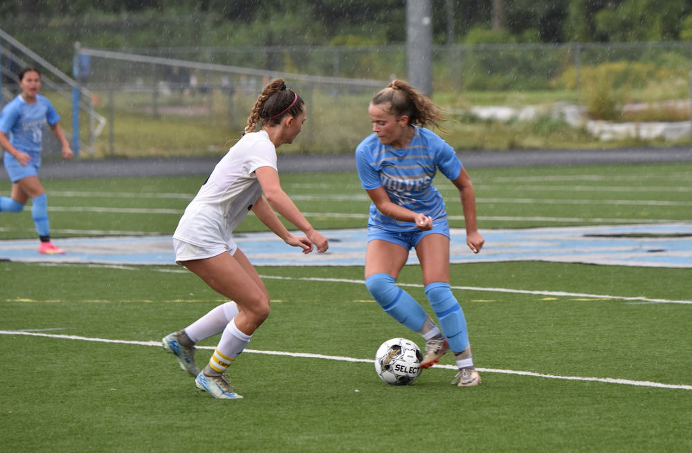 Number 15, Lila Hamme 