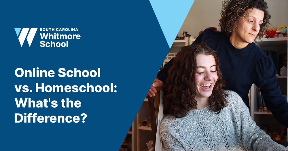 Online School vs. Homeschool What's the Difference