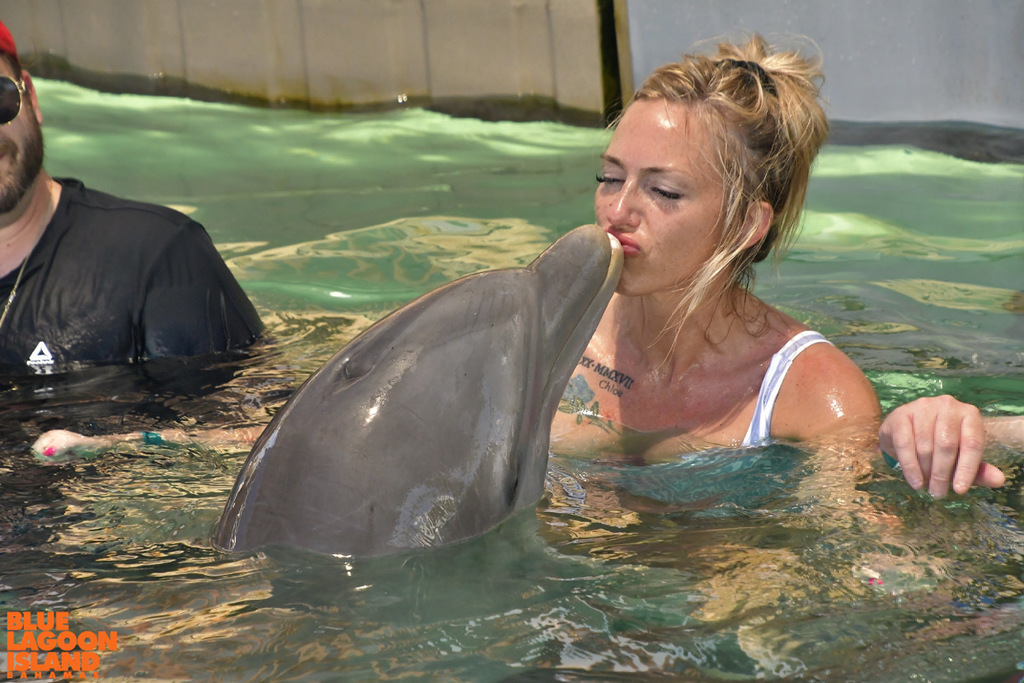 Mrs. Miller love traveling and exploring new areas. Here is a photo of Mrs. Miller spending time with a dolphin on Blue Lagoon Island in the Bahamas.