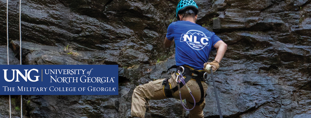 University of North Georgia