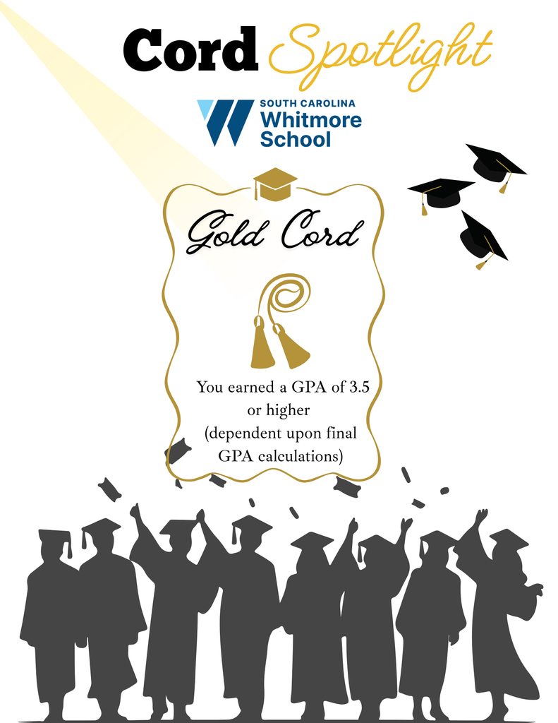 Graduation cord spotlight details