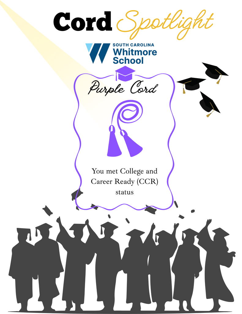Graduation cord spotlight details