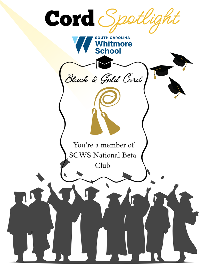 Graduation cord spotlight details