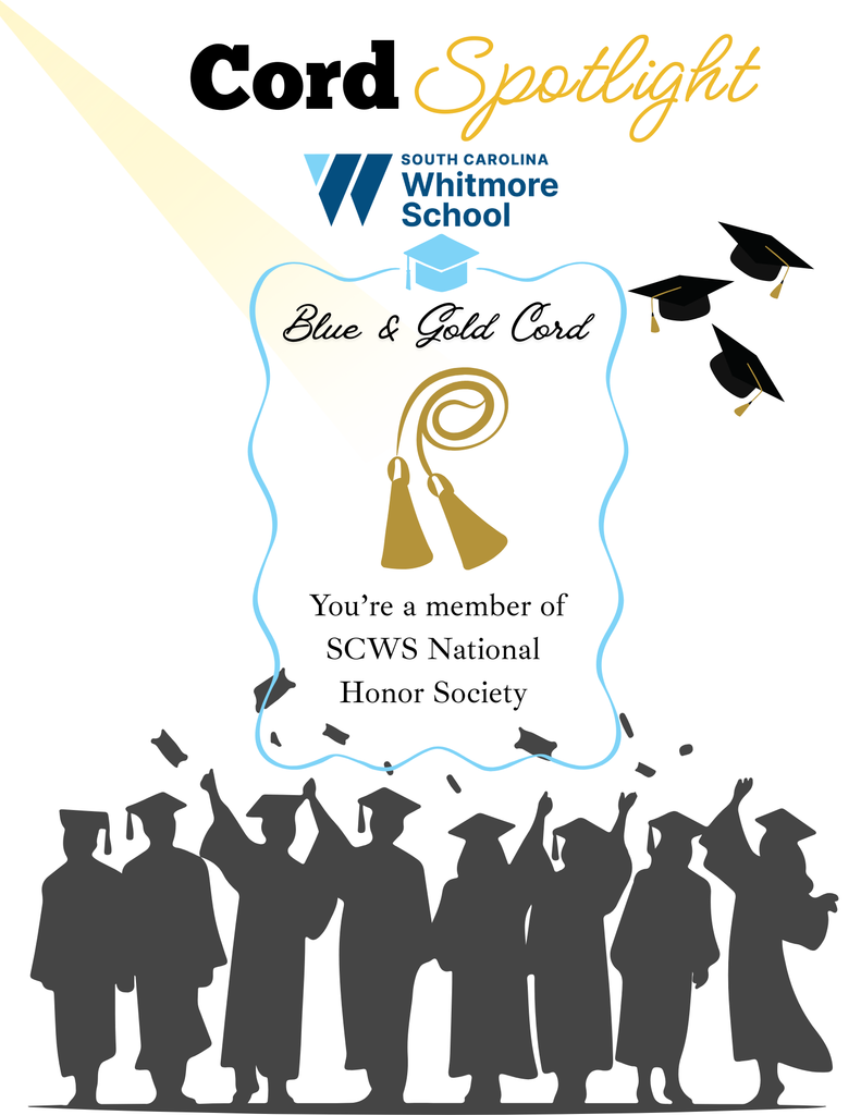 Graduation cord spotlight details