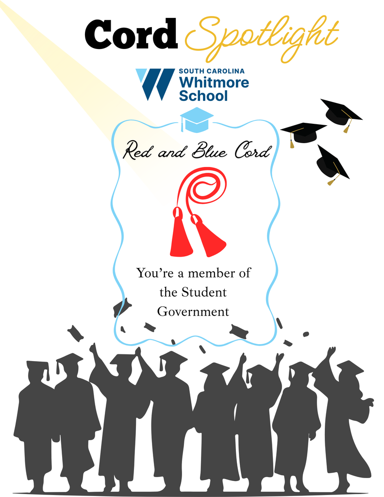 Graduation cord spotlight details