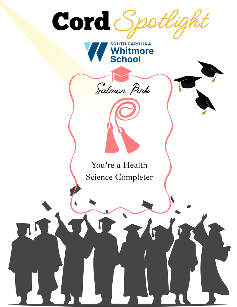 Graduation cord spotlight details