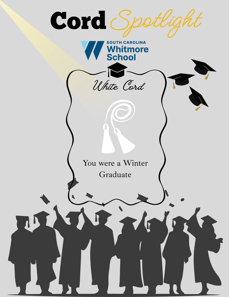Graduation cord spotlight details